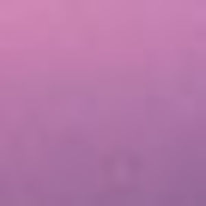 Meet your Posher, Aicha